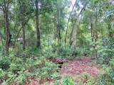 407 Raulerson Road - Photo 1