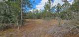 11617 Duda Road - Photo 38