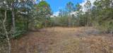 11617 Duda Road - Photo 39