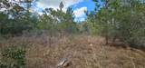 11617 Duda Road - Photo 40