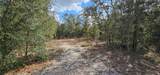 11617 Duda Road - Photo 41