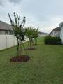 11728 Meadowgate Place - Photo 4