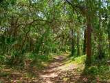 3445 Highlands Bridge Road - Photo 39