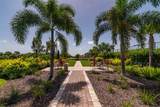 5451 Lago Maggio Street - Photo 92