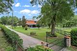 35126 William Lane - Photo 3