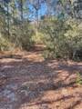 112 Reedy Creek Drive - Photo 51
