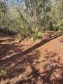 112 Reedy Creek Drive - Photo 52