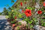 701 60 Highway - Photo 13