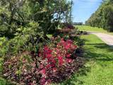 701 60 Highway - Photo 81