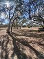 8077 Lake Hatchineha Road - Photo 36