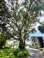 1 Harris Circle - Photo 52