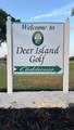 30215 Island Club Drive - Photo 19