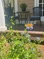 6037 Lake Erie Road - Photo 14