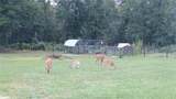 6320 91ST Trail - Photo 42