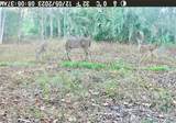 3700 183rd Avenue Road - Photo 26