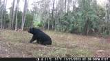 3700 183rd Avenue Road - Photo 30