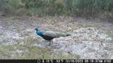3700 183rd Avenue Road - Photo 31