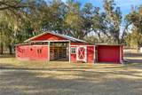 11831 Highway 484 - Photo 49