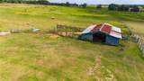 31226 Saint Joe Road - Photo 40