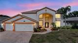 10003 Vista Pointe Drive - Photo 2