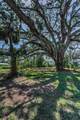 6521 Oelsner Street - Photo 32