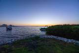 2700 Bayshore Boulevard - Photo 2