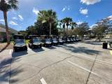 8137 Ponkan Road - Photo 48