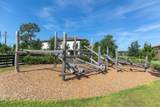 12303 Corkfield Lane - Photo 49