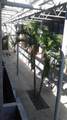 217 12TH Street - Photo 17