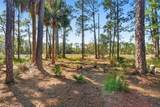  Deep Woods Road - Photo 51