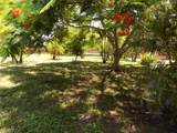 3849 Edgemont Drive - Photo 34