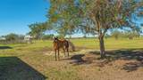 25205 67TH Avenue - Photo 56
