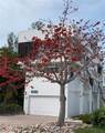 2918 Avenue - Photo 35
