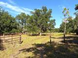 3045 Logue Road - Photo 13
