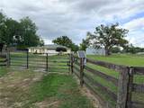 331 Highway 42 - Photo 53