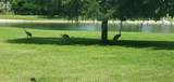 17933 Patterson Road - Photo 15