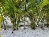 2532 Fruit Tree Drive - Photo 42