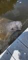 360 46TH Court - Photo 4