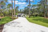 42191 Cashew Street - Photo 24