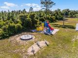 42191 Cashew Street - Photo 32