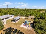 42191 Cashew Street - Photo 33