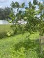 2115 Pan American Blvd - Photo 47