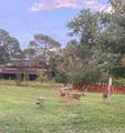 6885 Orchid Tree Drive - Photo 25