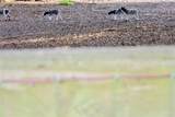 3700 183rd Avenue Road - Photo 38