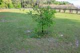 3700 183rd Avenue Road - Photo 65