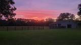 1198 104TH STREET Road - Photo 93