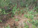 LOT 29 Shore Drive - Photo 17