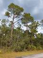 LOT 29 Shore Drive - Photo 9