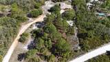 2772 Indian Pipes Trail - Photo 8