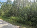 30 Amaryllis Drive - Photo 12